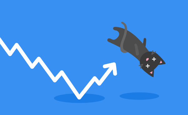 dead cat bounce trade setups