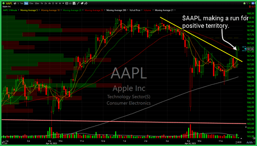 aapl 20