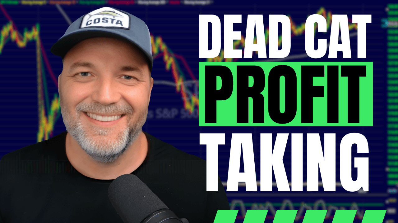 Profit taking strategies for a bear market rally.